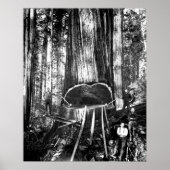 EIN GIANTES c. HERUNTERNEHMEN. 1890 Poster (Vorne)