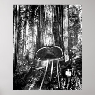 EIN GIANTES c. HERUNTERNEHMEN. 1890 Poster