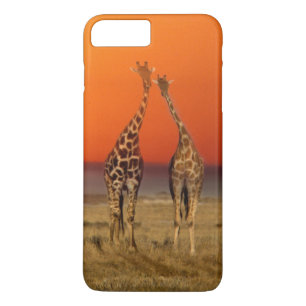 Ein Giraffenpaar geht in den Sonnenuntergang, in Case-Mate iPhone Hülle