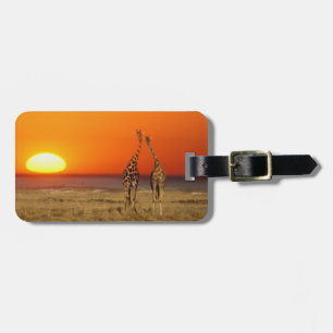 Ein Giraffenpaar geht in den Sonnenuntergang, in Gepäckanhänger