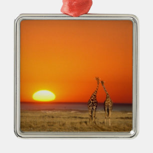 Ein Giraffenpaar geht in den Sonnenuntergang, in Silbernes Ornament