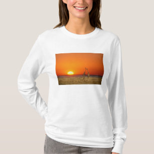Ein Giraffenpaar geht in den Sonnenuntergang, in T-Shirt