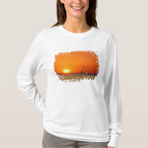 Ein Giraffenpaar geht in den Sonnenuntergang, in T-Shirt
