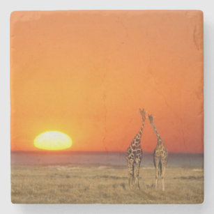 Ein Giraffenpaar geht in den Sonnenuntergang, Steinuntersetzer