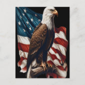 Ein Glatzenadler auf einer schwindenden amerikanis Postkarte (Vorderseite)