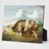 Ein Gloucestershire Old Spot (Öl auf Tafel) Fotoplatte (Seite)