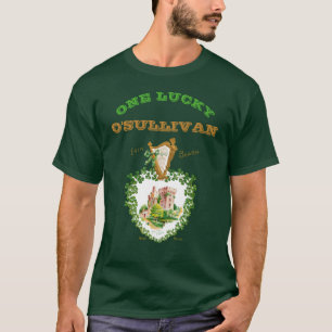 Ein Glück Ihr Name St Patricks Day Blarney Burg T-Shirt