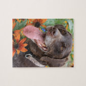 Ein glücklicher deutscher kurzhaariger Zeiger mit Puzzle (Horizontal)