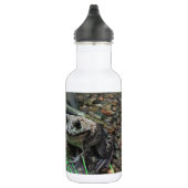 Ein glücklicher Frosch Edelstahlflasche (Rechts)
