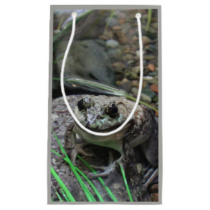 Ein glücklicher Frosch Kleine Geschenktüte