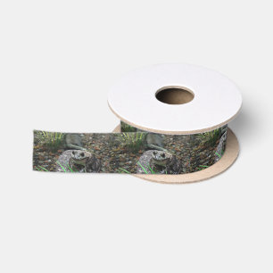 Ein glücklicher Frosch Satinband