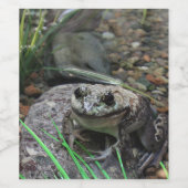 Ein glücklicher Frosch Weinetikett (Einzelnes Label)