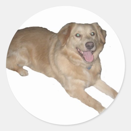 Ein glücklicher Hund! Runder Aufkleber (Vorderseite)