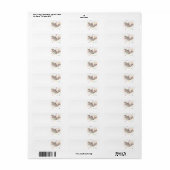 Ein glücklicher Seelöwe (Vorne)