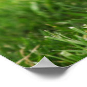 Ein glücklicher und energiegeladener Welsh Corgi W Poster (Ecke)