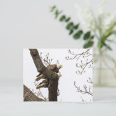 Ein glückliches (?) Adlerpaar Postkarte (Stehend Vorderseite)