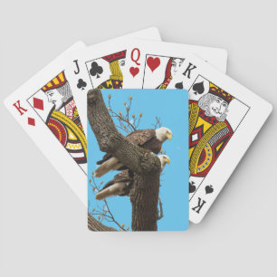 Ein glückliches (?) Adlerpaar Spielkarten