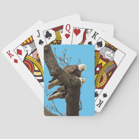 Ein glückliches (?) Adlerpaar Spielkarten (Rückseite)
