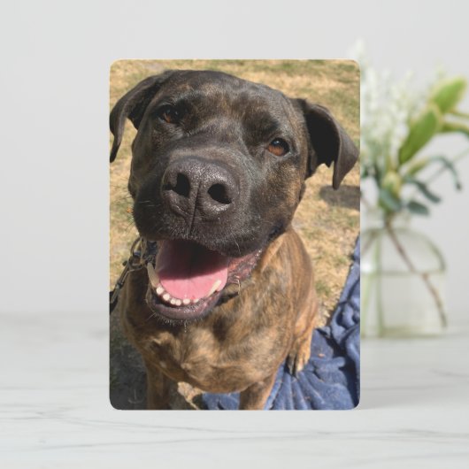 Ein glückliches Bull Mastiff Kreuz Dankeschön Kart Dankeskarte (Stehend Vorderseite)