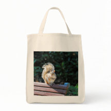 Ein glückliches Eichhörnchen in DC