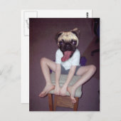 Ein glückliches Kind mit Mops. Postkarte (Vorne/Hinten)