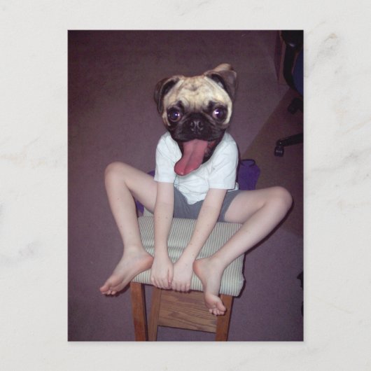 Ein glückliches Kind mit Mops. Postkarte (Vorderseite)