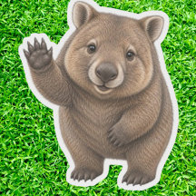 Ein glückliches kleines australisches Wombat