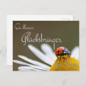 Ein Glücksbringer für Dich mit Marienkäfer Postkarte (Vorne/Hinten)