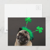 Ein Glückspug Postkarte (Vorne/Hinten)