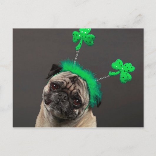 Ein Glückspug Postkarte (Vorderseite)