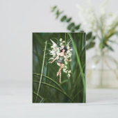 Ein Glühen im Garten Postkarte (Stehend Vorderseite)