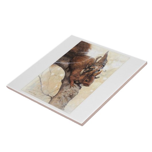 EIN GNOME, DER EIN EICHHÖRNCHEN REITET FLIESE (Seite)