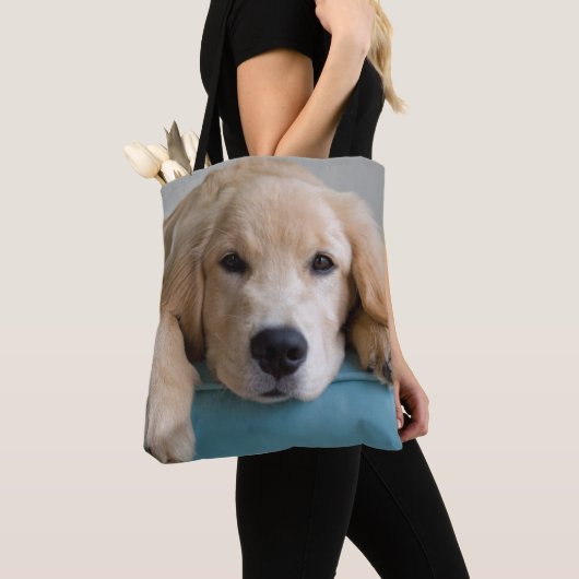 Ein golden retriever-Welpe Tasche (Von Nahem)