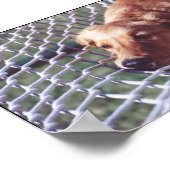 Ein goldener Tag Poster (Ecke)