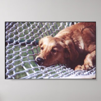 Ein goldener Tag Poster