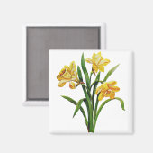 Ein goldener Wirt bestickter Affodien Magnet (Vorderseite/Rückseite)