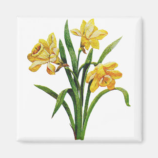 Ein goldener Wirt bestickter Affodien Magnet