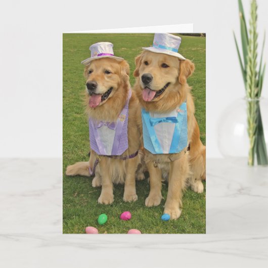 Ein goldenes Ei-Sighting Oster Feiertagskarte (Vorderseite)