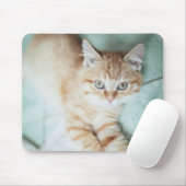 Ein goldenes Farbkätzchen, das sich hinlegt Mousepad (Mit Mouse)