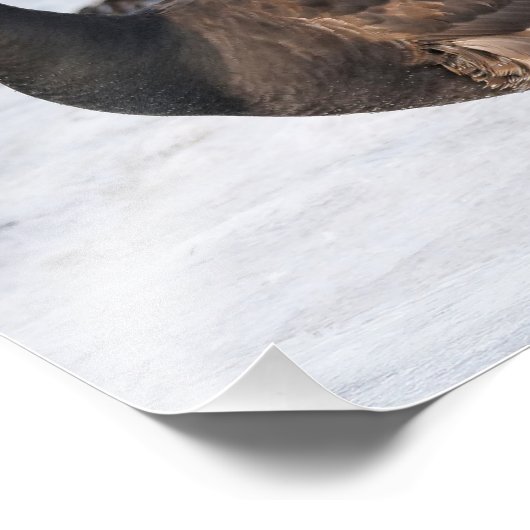 Ein Goosesteppin-Brant Fotodruck (Ecke)