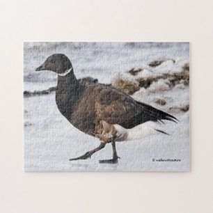 Ein Goosesteppin-Brant Puzzle