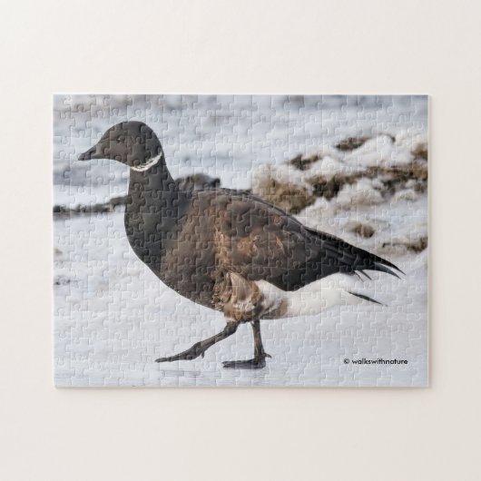 Ein Goosesteppin-Brant Puzzle (Horizontal)