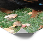 EIN GORDON! EIN GORDON! Gordon Setter Poster (Ecke)