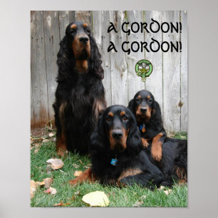EIN GORDON! EIN GORDON! Gordon Setter Poster