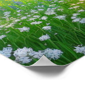 Ein grasbedecktes Feld am Bach Poster (Ecke)