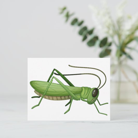 Ein Grashüpfer Postkarte (Stehend Vorderseite)