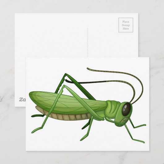 Ein Grashüpfer Postkarte (Vorne/Hinten)