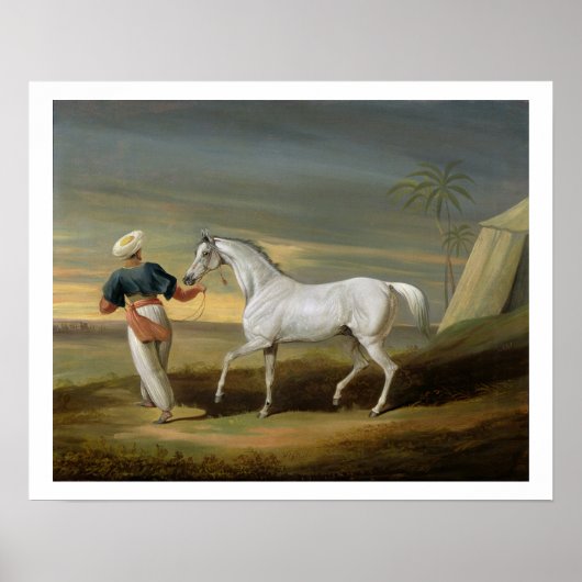 Ein graues arabisches Signal mit einem Wüstenraum Poster (Vorne)