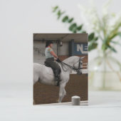 Ein graues Dressurpferd Postkarte (Stehend Vorderseite)