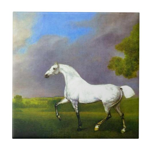Ein graues Pferd durch George Stubbs Fliese (Vorderseite)